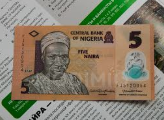 The Impact of Cultural Exchange on International Market Success: The Experience of Nigeria and Denmark