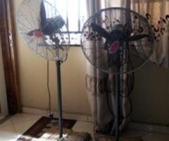 Ox standing fan - Abaranjeh